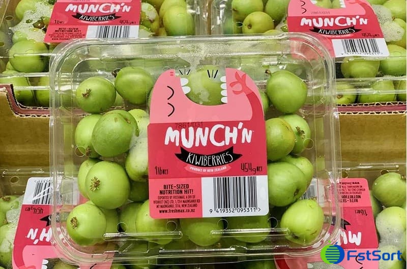 images/1665560965113kiwi berry grader.jpg